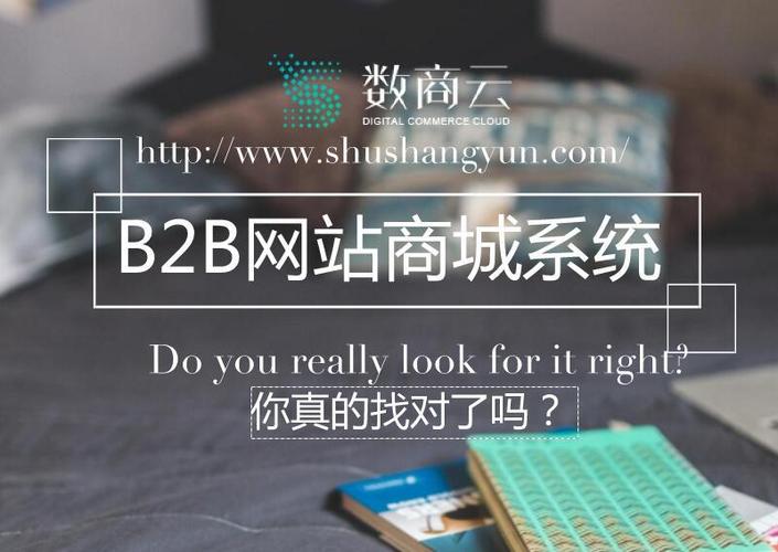 你真的找对了b2b网站商城系统了吗?